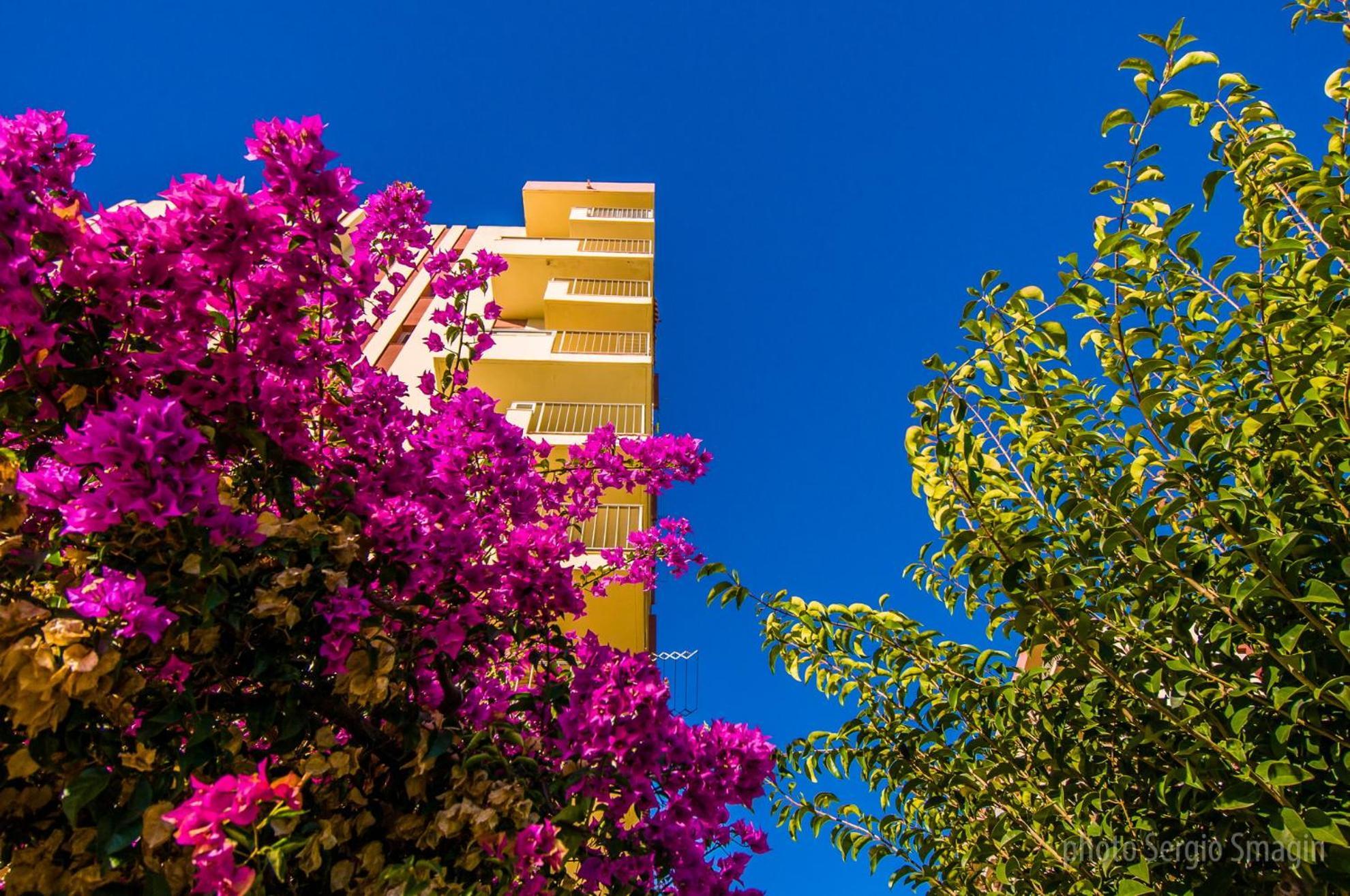426 Estudio En Minerva Apartamentos - Vista Al Jardin - Piscina Y Playa เบนัลมาเดนา ภายนอก รูปภาพ