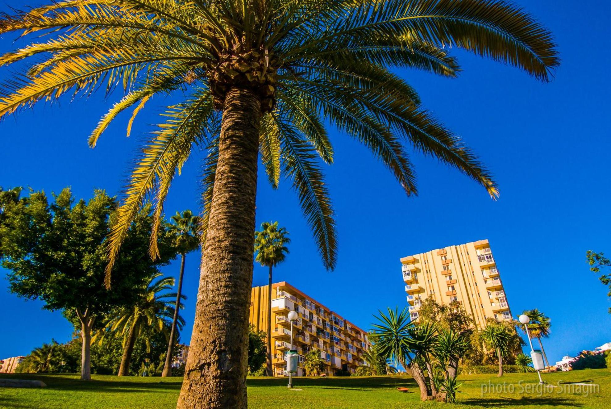 426 Estudio En Minerva Apartamentos - Vista Al Jardin - Piscina Y Playa เบนัลมาเดนา ภายนอก รูปภาพ