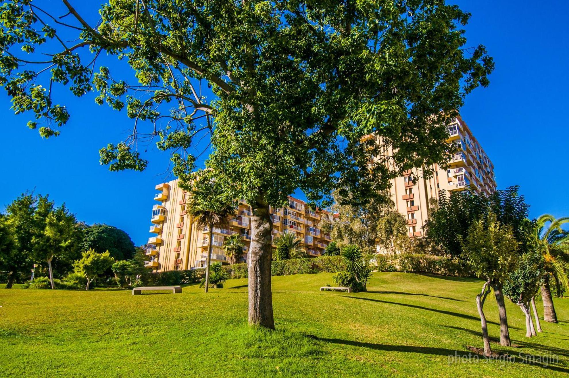 426 Estudio En Minerva Apartamentos - Vista Al Jardin - Piscina Y Playa เบนัลมาเดนา ภายนอก รูปภาพ